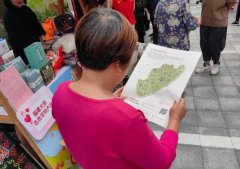 社会组织是构建有温度的人民城市中不可或缺的力量